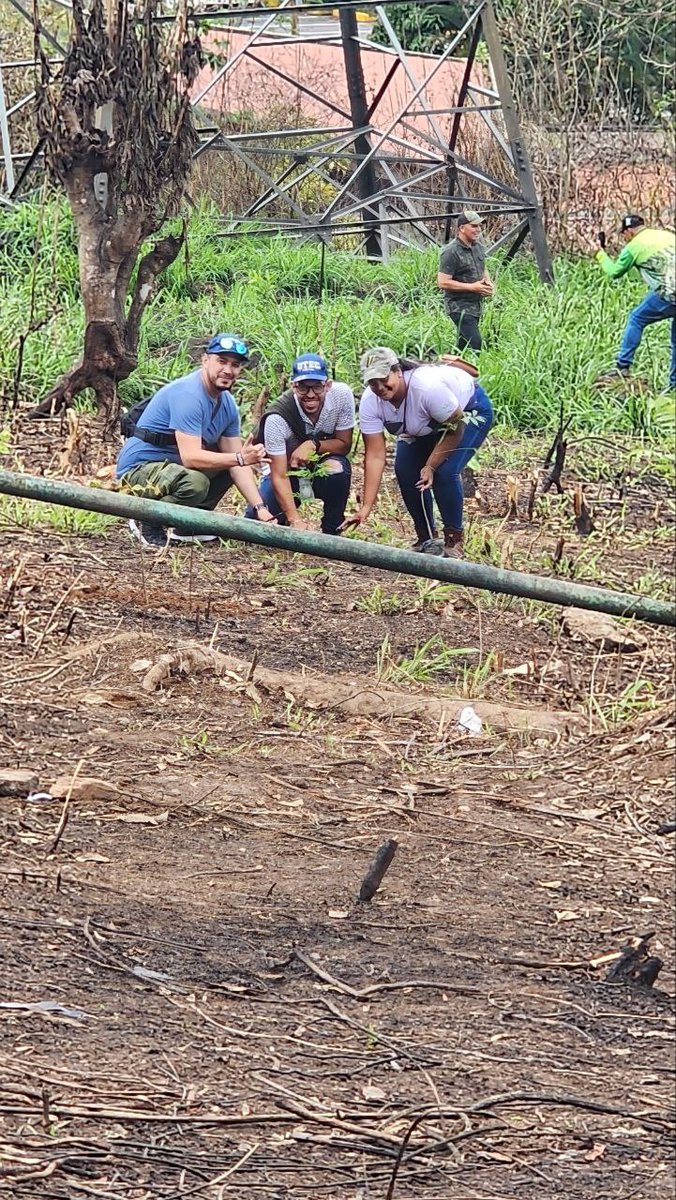 Hoy el Minec, MinEducacion, Guardia del Pueblo, Defensa Pública y Estudiantes de Catia, Petare Educación media sembramos más de 1000 Plantas de especies Forestales en el sector Santa Rosa del Guarairarepano!

Ah pero eso nadie lo va a reconocer ni difundir en redes!