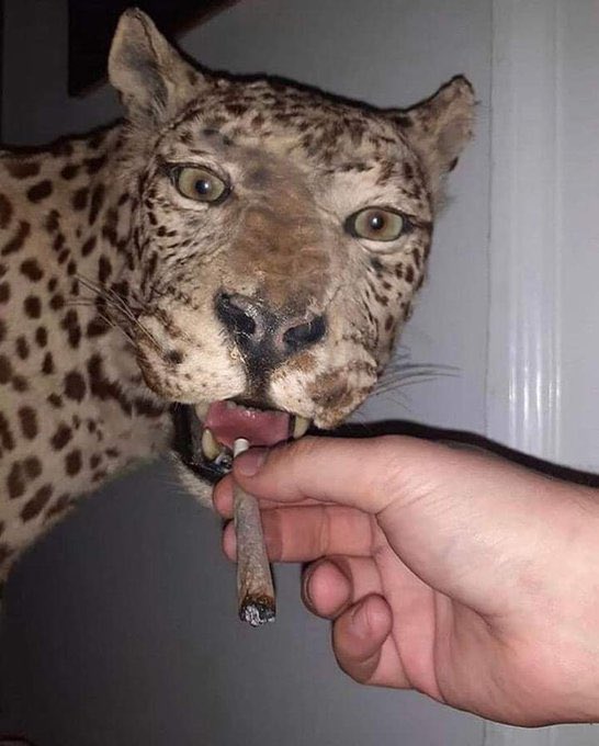 HIGHEST (@high6st) on Twitter photo 