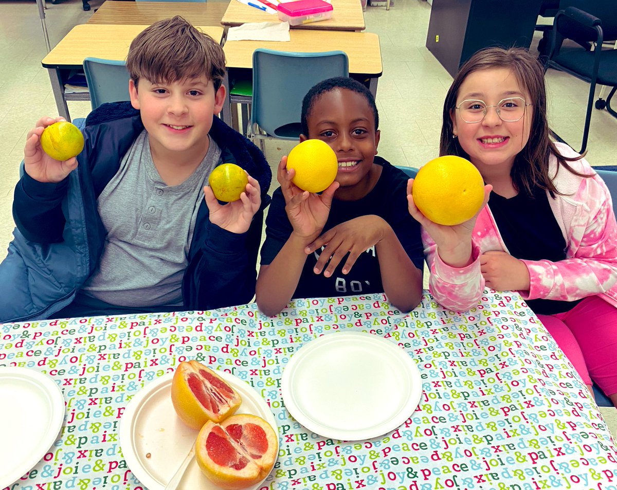 lobnafrench's tweet image. Enjoying citrus fruits 🍋 🍊 Discussing the importance of vitamins for our health. #wellbeing #plasp @PLASP_CCS
