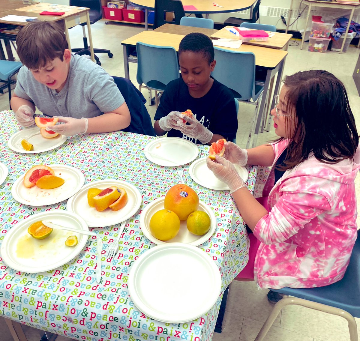 lobnafrench's tweet image. Enjoying citrus fruits 🍋 🍊 Discussing the importance of vitamins for our health. #wellbeing #plasp @PLASP_CCS