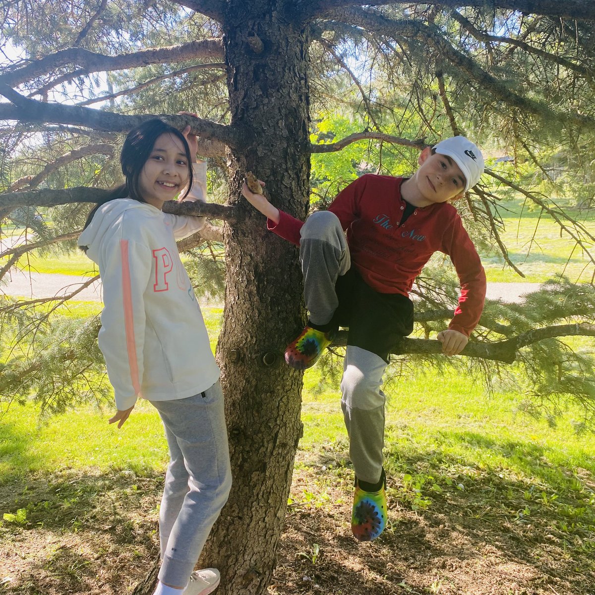 lobnafrench's tweet image. What a wonderful time we had outdoors!! Picnic time was all about mental &amp;amp; physical health, social bonding, exploring nature and so much FUN!! #getoutside #plasp @PLASP_CCS