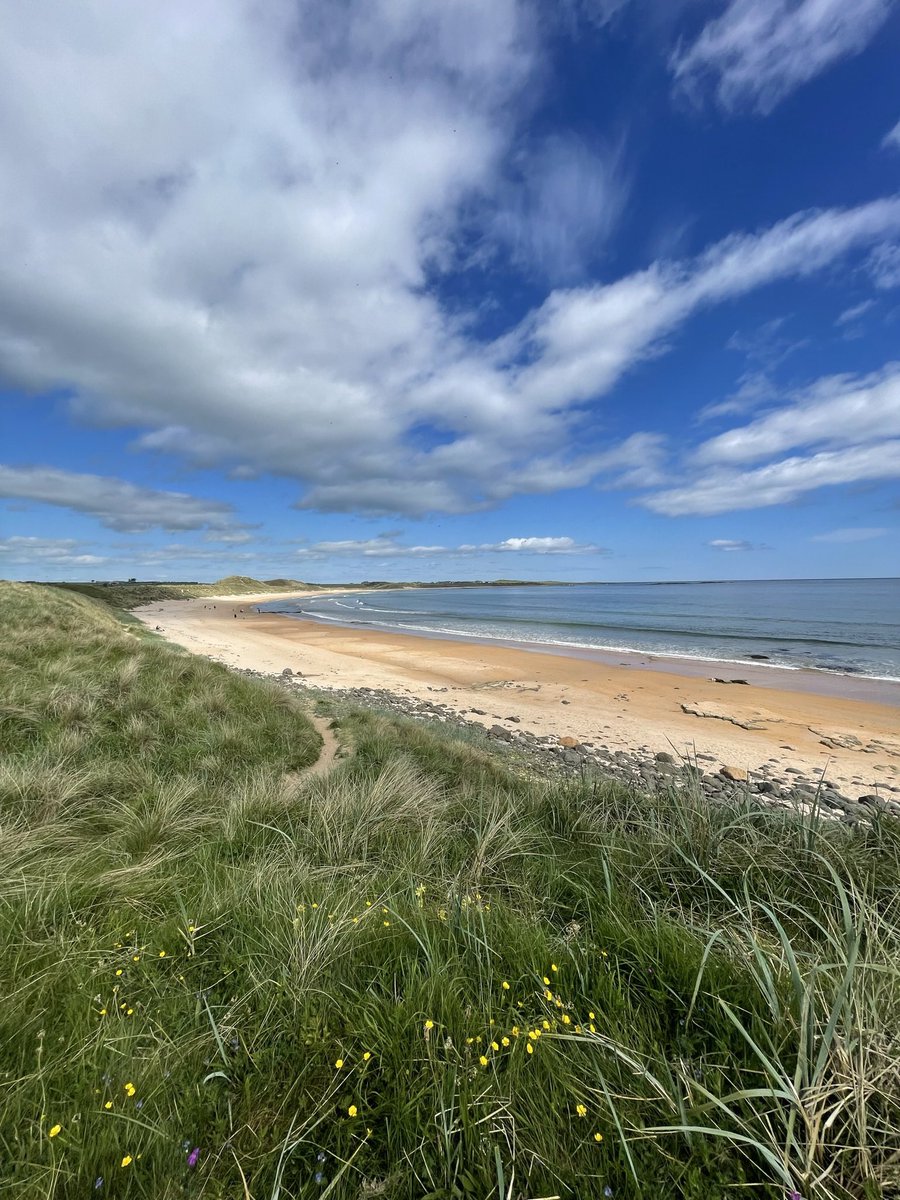 SteveyMach tweet media