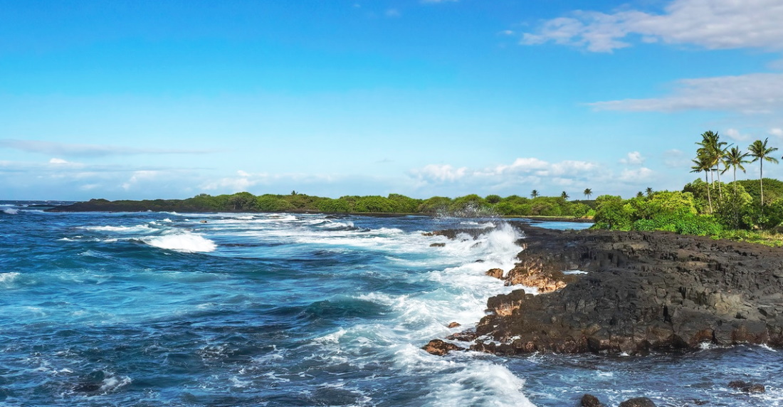 #Caretaker /s needed for a #sanctuary located on the #BigIsland, #Hawaii. Details about this new position were sent out to our paid subscribers in our latest email update. Please email caretakergazette@gmail.com