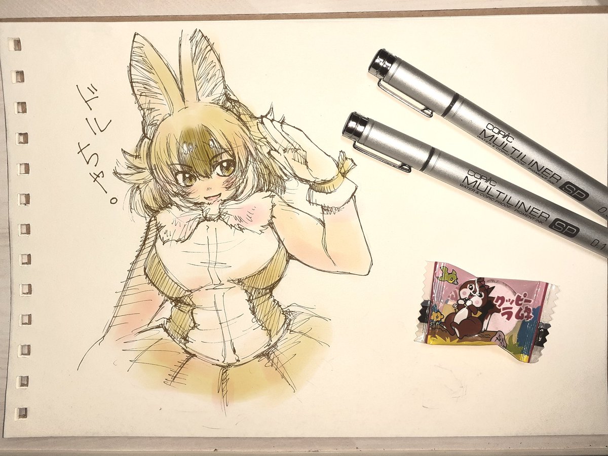 世界ドールの日ということで お気に入りドルちゃを #けもフレ3