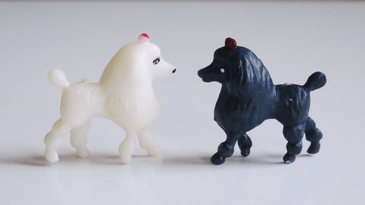 SwirlingOrange1's tweet photo. Two #tinyPoodle figurines made of hard plastic, one white the other black for #Dollhousedisplays #crafts or #fairygardens #SMILEtt23 #Etsyteamunity #TMTinsta #VintageMini https://t.co/0umIYC5vWs https://t.co/3EYOxABtL0