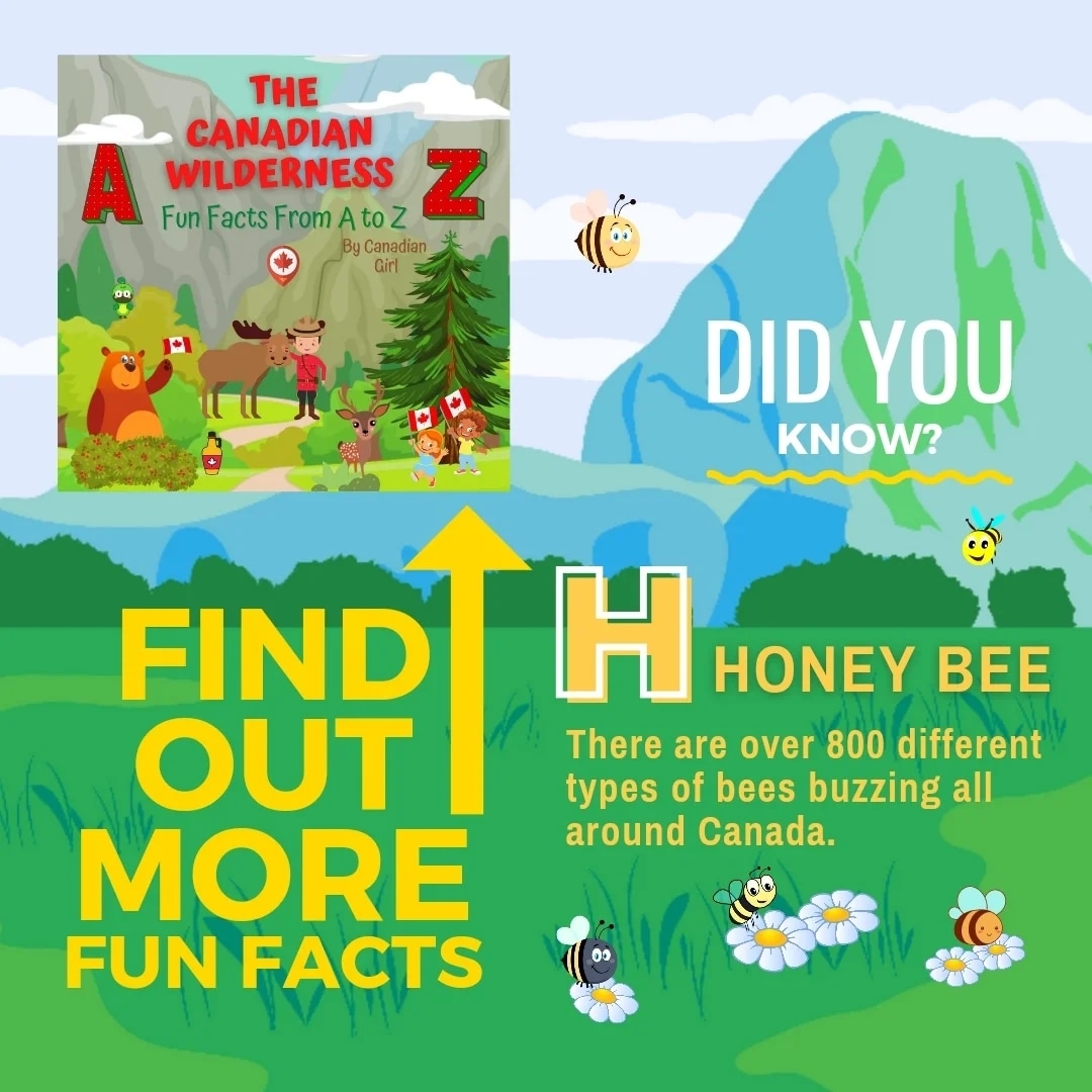 Nothing Ever Happens in Canada tweet media