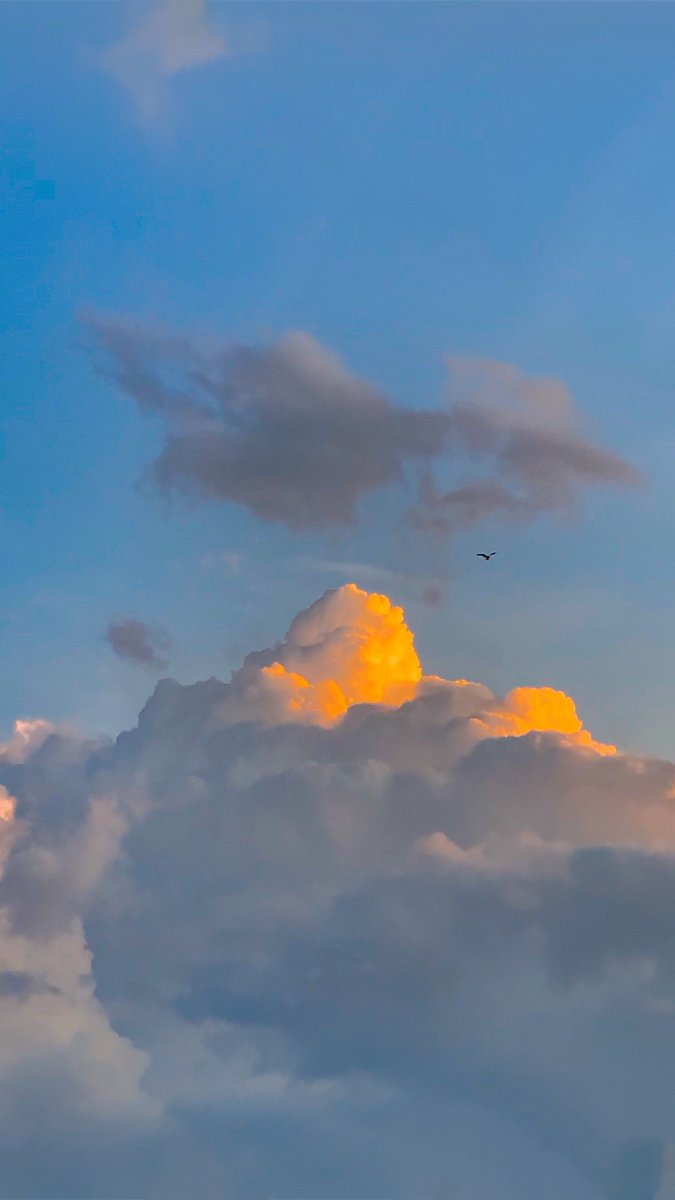 ikyyyy755's tweet photo. @tanyakanrl iphone xs, telephoto lens 52mm https://t.co/qcp2kcoPgR
