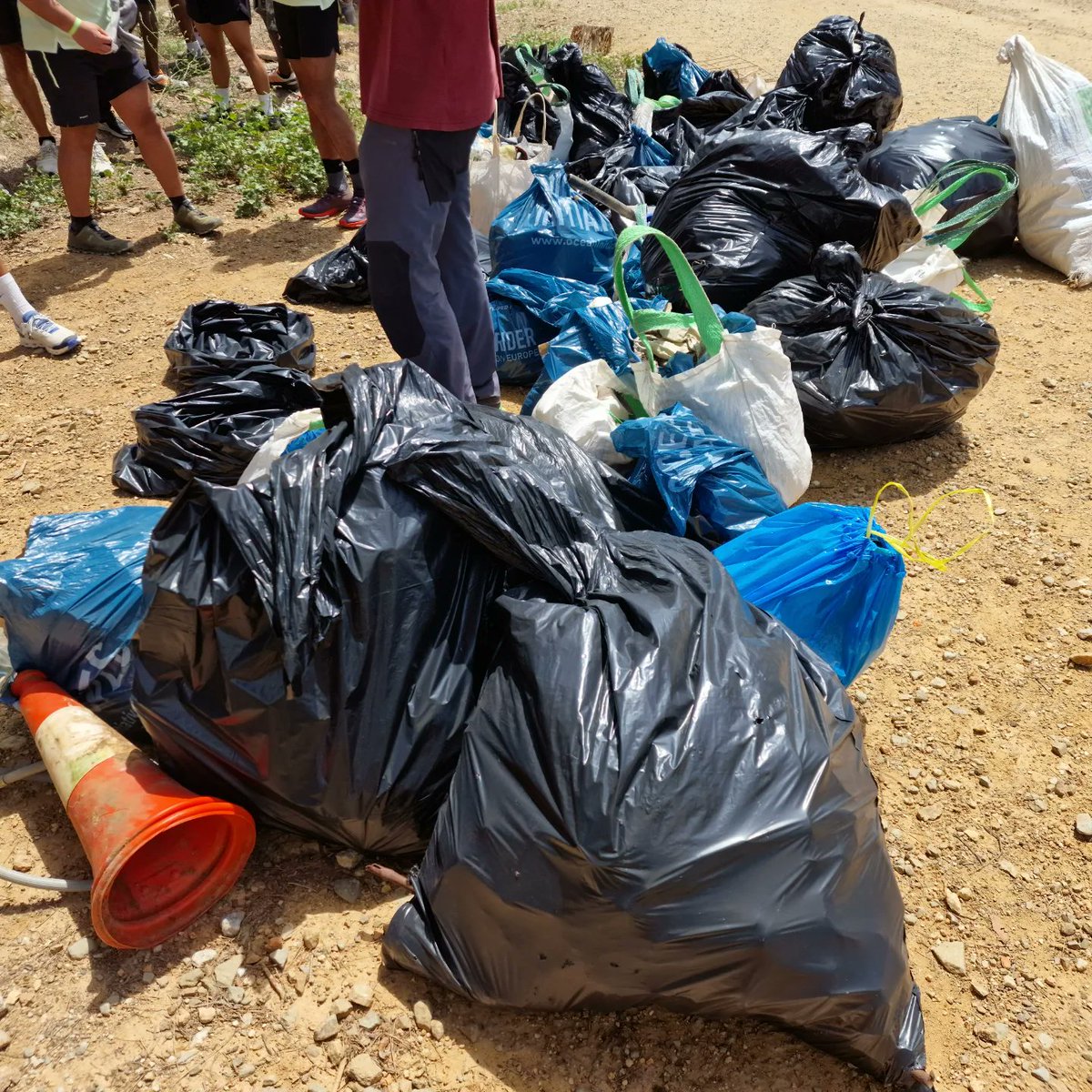 RogerYoda's tweet photo. Avui hem anat a recollir brossa a #Collserola en una activitat organitzada per #enformainspira. Hem de conscienciar a les noves generacions de cuidar i respectar la natura, ells són el futur. https://t.co/XXf3XJudUx