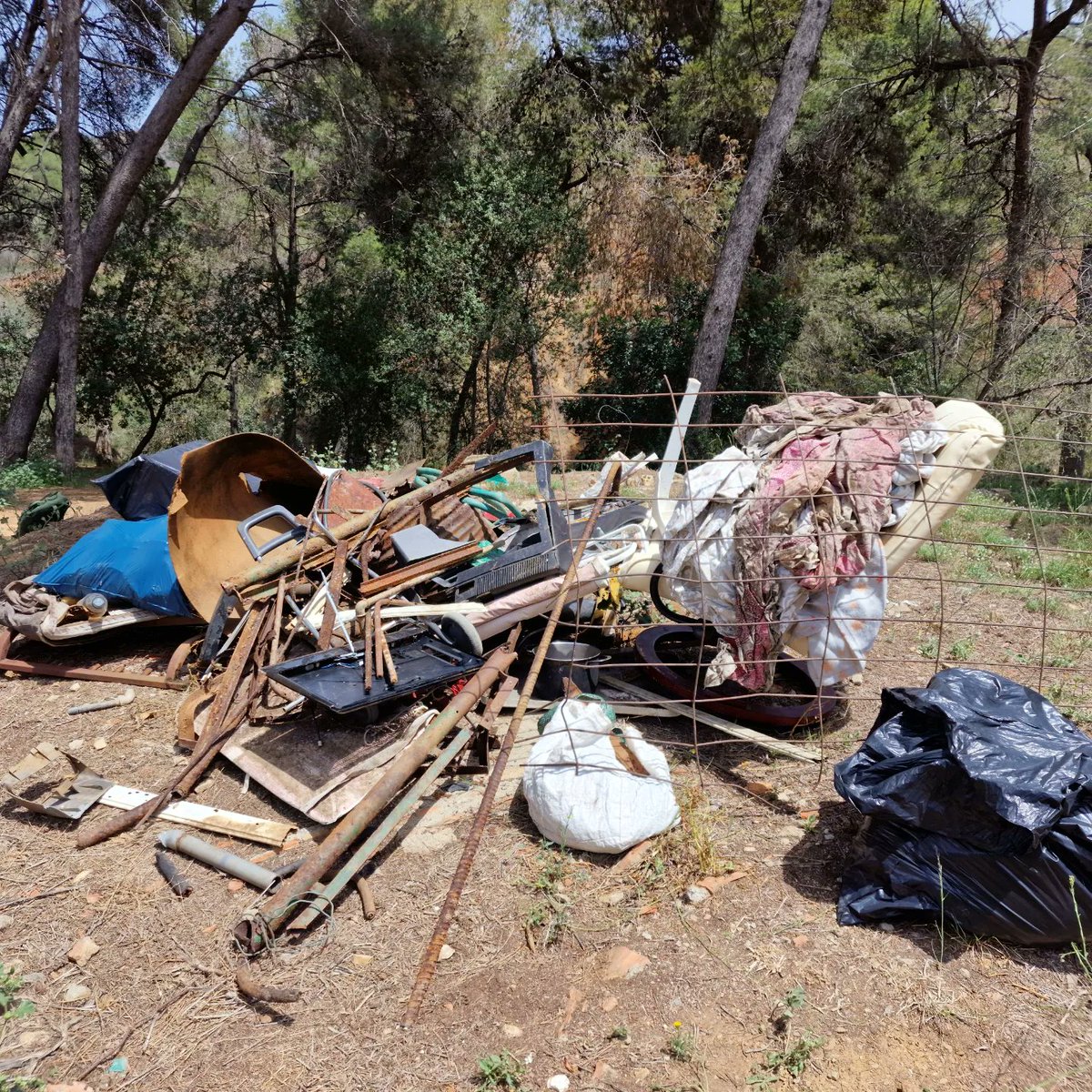 RogerYoda's tweet photo. Avui hem anat a recollir brossa a #Collserola en una activitat organitzada per #enformainspira. Hem de conscienciar a les noves generacions de cuidar i respectar la natura, ells són el futur. https://t.co/XXf3XJudUx