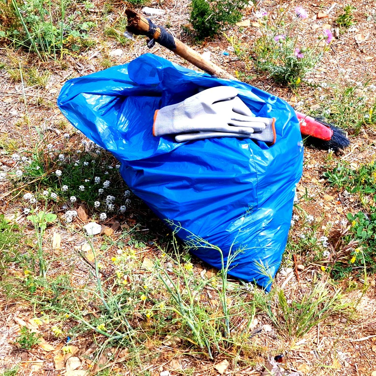 RogerYoda's tweet photo. Avui hem anat a recollir brossa a #Collserola en una activitat organitzada per #enformainspira. Hem de conscienciar a les noves generacions de cuidar i respectar la natura, ells són el futur. https://t.co/XXf3XJudUx