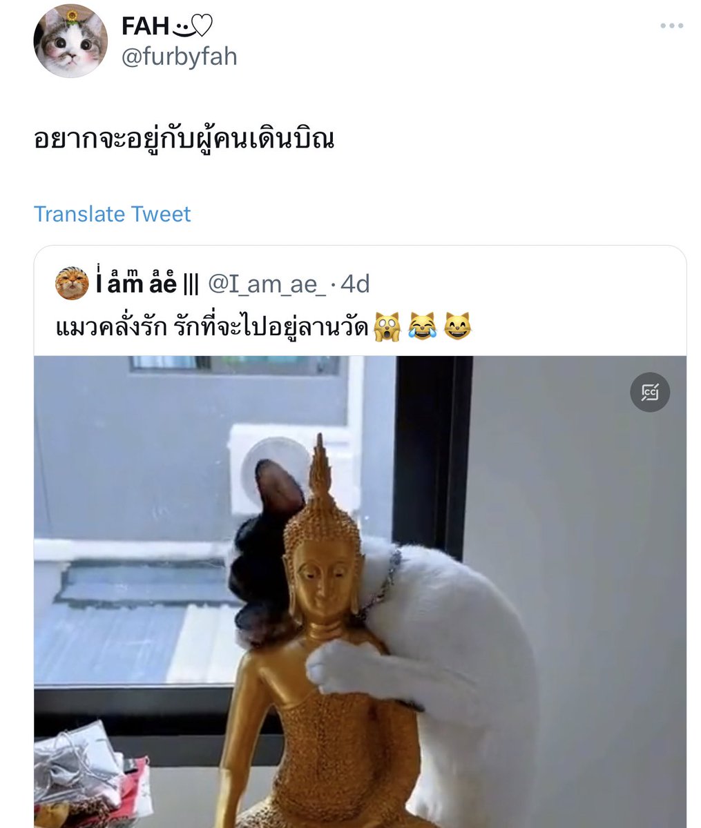 BrightMinho's tweet image. ก็คนไทยอะเนอะ555555555555555555555555555666