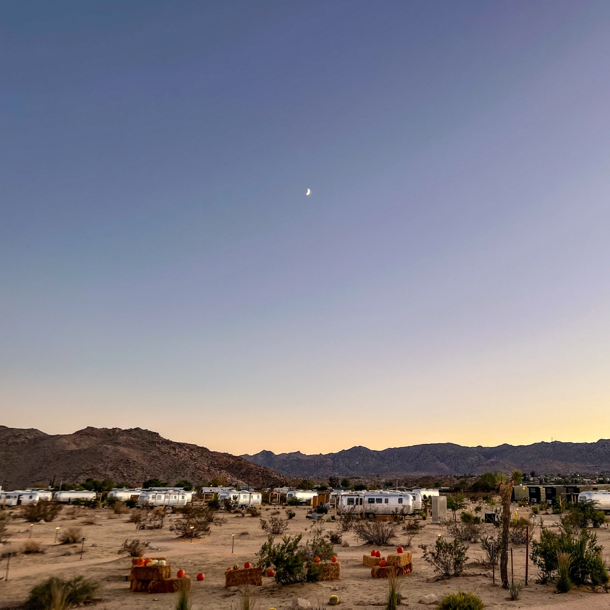 TrekTravel's tweet photo. 🌵✨ Escape to Desert Paradise! Join us for the ultimate blend of luxury and adventure on our Palm Springs and Joshua Tree National Park AutoCamp Bike Tour: https://t.co/HZ4YXXaxM7
#trektravel #theworldcalls #autocamp #joshuatree https://t.co/wxxJSfcTLp