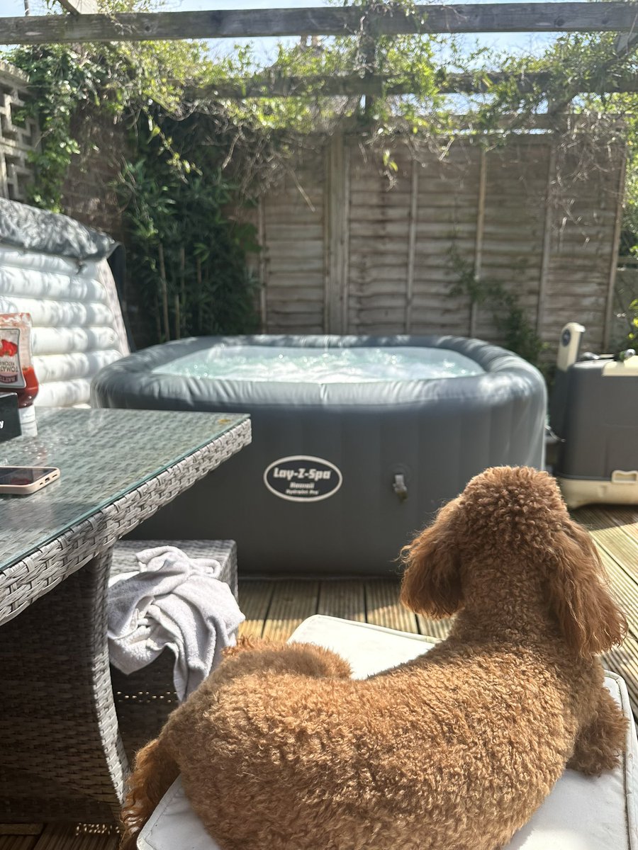 MadamMaze's tweet photo. I love summer #layzspa #summer https://t.co/iZOj6V1XeU