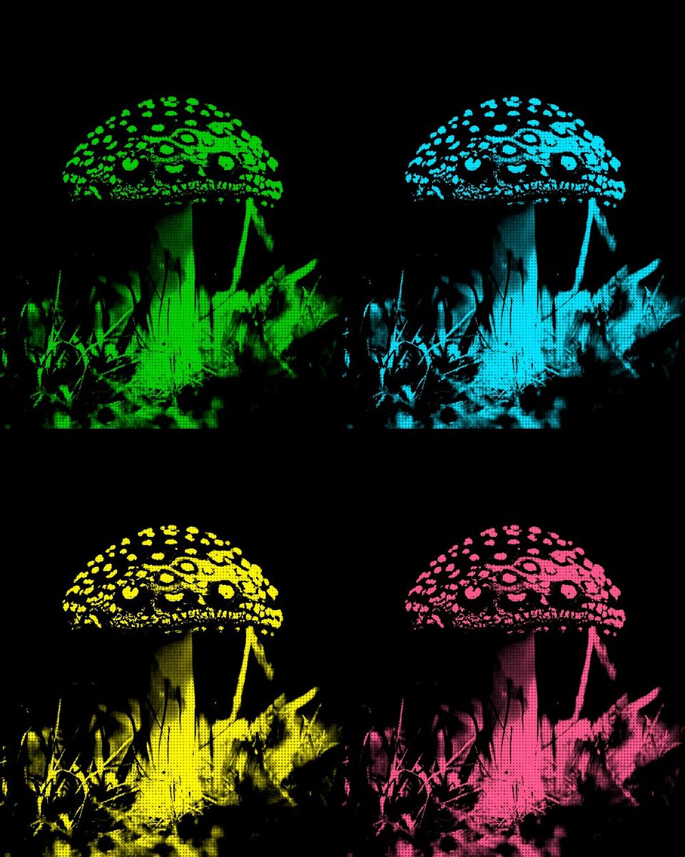 Mindbender408's tweet photo. @Doodlegenics https://t.co/PToqIGesYo