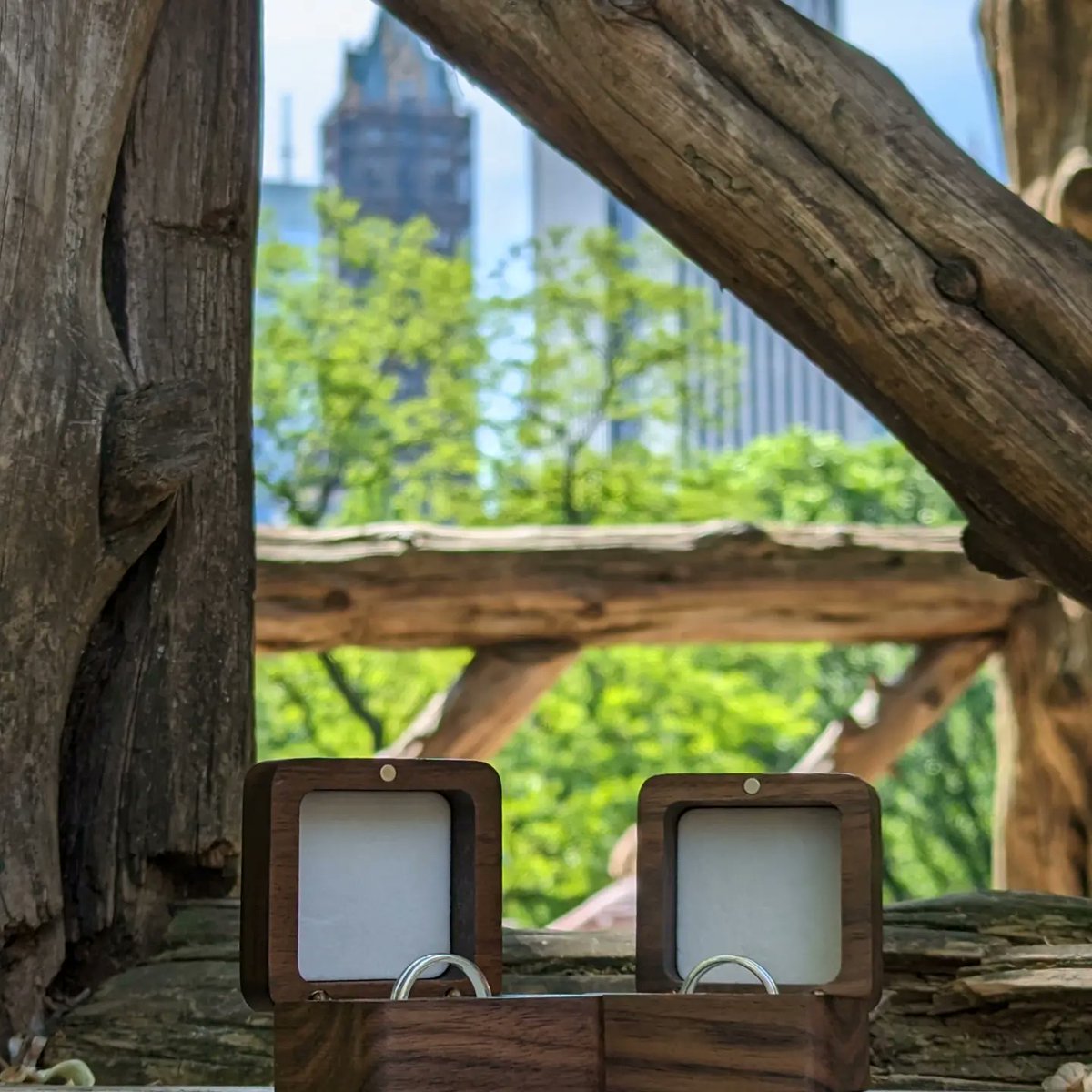 Chris Sayers (he/him) tweet media