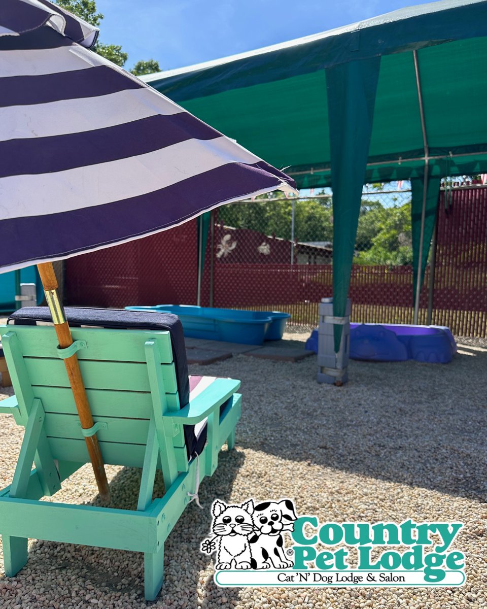 CountryPetLodge's tweet photo. The pool is open! ☀️💦 Add a pool package onto your dog’s summer stay so they can splash their cares away. Call the office for pricing. 🐾🏊‍♂️🌞 #PoolTimePups #SummerSplashes #DoggiePoolParty #WetAndWild #PawsomePoolDays #FunInTheSun #PoolPackagePerks #DoggyVacay https://t.co/MxOwAyCaMT