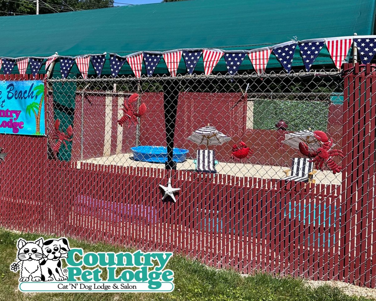 CountryPetLodge's tweet photo. The pool is open! ☀️💦 Add a pool package onto your dog’s summer stay so they can splash their cares away. Call the office for pricing. 🐾🏊‍♂️🌞 #PoolTimePups #SummerSplashes #DoggiePoolParty #WetAndWild #PawsomePoolDays #FunInTheSun #PoolPackagePerks #DoggyVacay https://t.co/MxOwAyCaMT