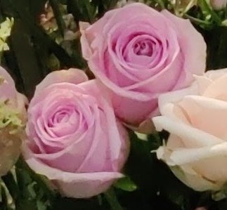 JAMIssa on juhlittu SakuStars- ja Taitaja -kilpailuihin osallistuneita sekä valmistuneita monissa eri tilaisuuksissa viime viikkoina. Ensi viikolla juhlat vielä jatkuvat. Onnittelut kaikille valmistuneille ja valmistuville!