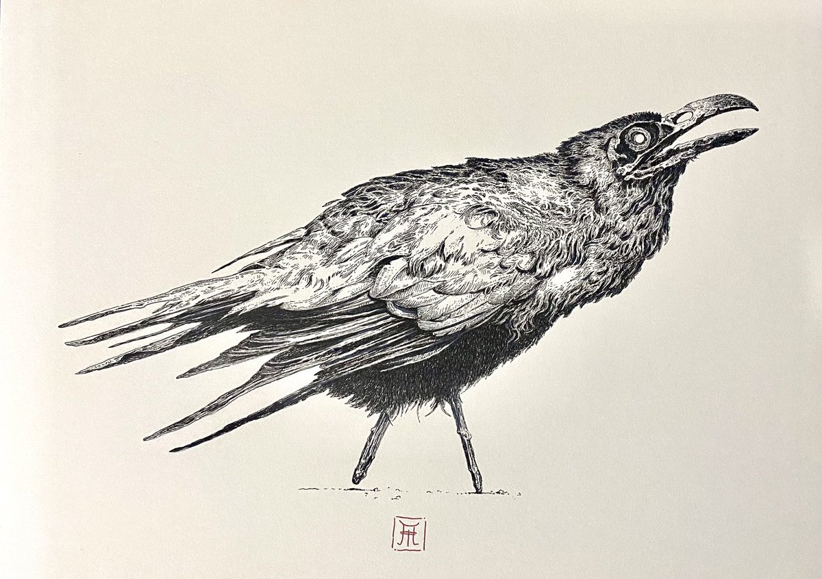 “Raven” 
Available for sale. 300$ plus shipping. Micron on watercolorpaper

#raven #crow #birddrawing #art #lineart #linedrawing #micronart #micronpen #copicmarkers #copicart #fabriano #fabrianopaper #fabrianoartistico #darkart #fantasyart #fantasy #creature #animaldrawing