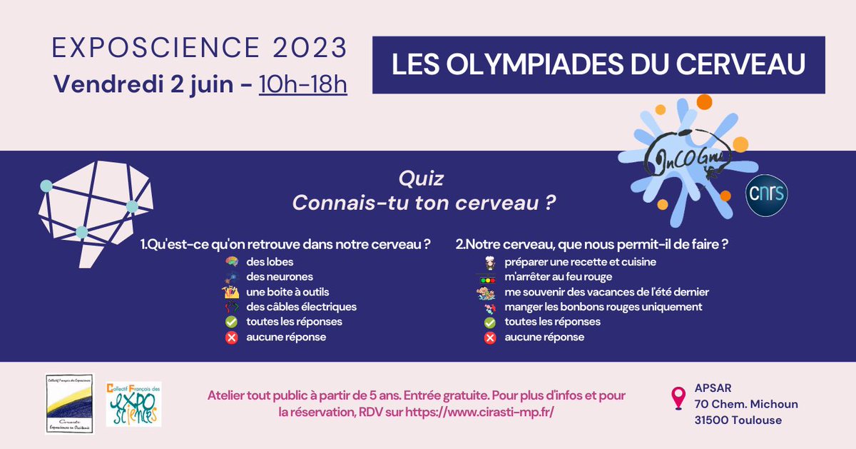 Exposcience Occitanie 2023 
Les Olympiades du cerveau : animation à destination des enfants et grands enfants, autour du cerveau et des fonctions exécutives. 
<a href="/CIRASTIOc/">CIRASTI Exposciences en Occitanie</a> 
<a href="/CNRS_Toulouse/">CNRS Occitanie Ouest</a>