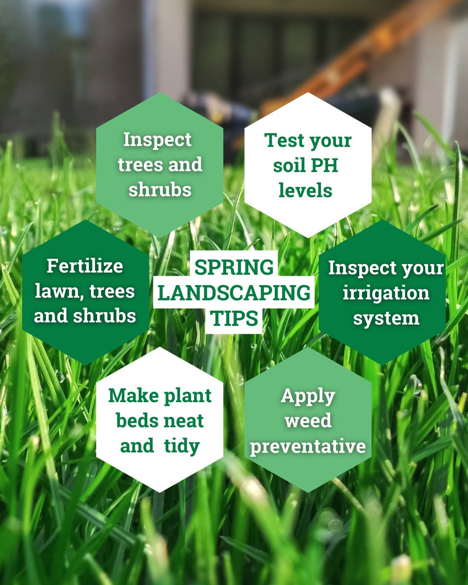 🌷🌱 Spring is in full bloom, and it's time to revitalize your landscape!

Check out these spring landscaping tips and unleash the beauty of your outdoor space 🌼

#SpringLandscaping #GardeningTips #LawnCare #OutdoorRenovation