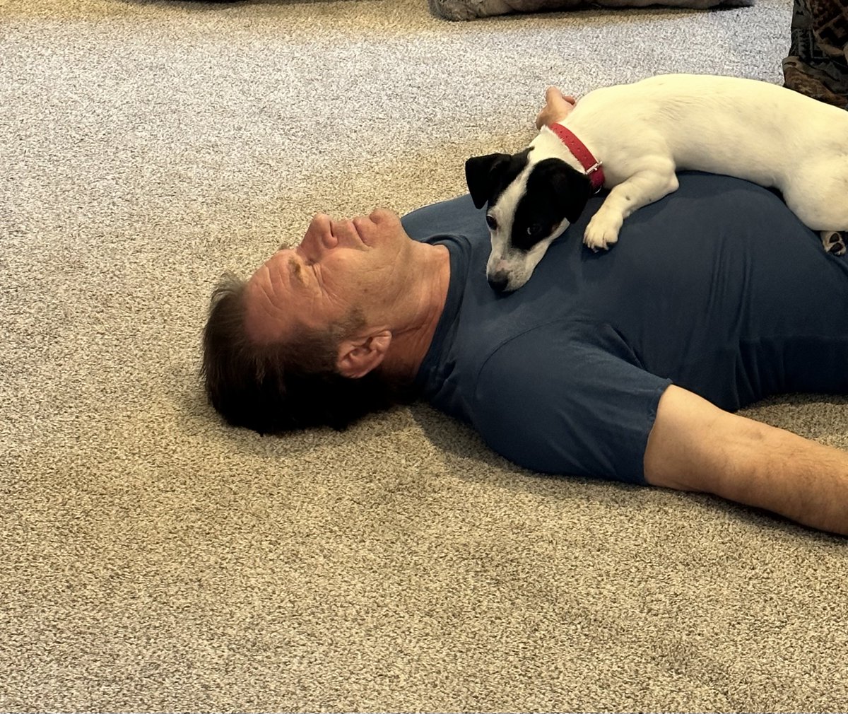 Faldo’s Weims & two ☘️Irish Jack ☘️🇺🇸🇬🇧 tweet media