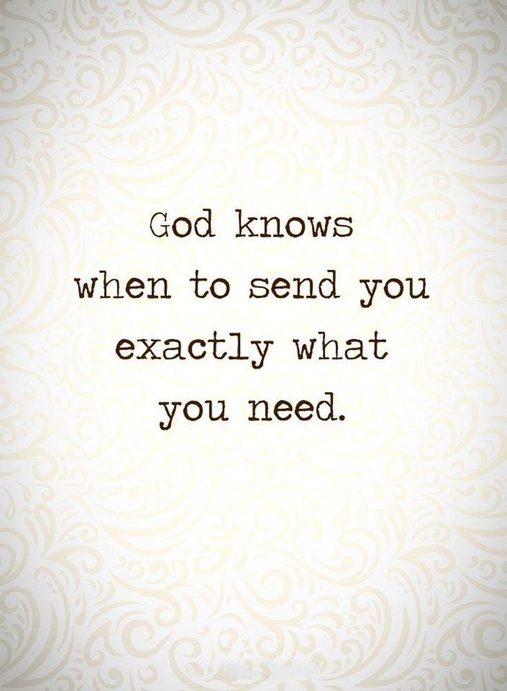 wise_chimp's tweet photo. Trust God https://t.co/meUWkICbSz