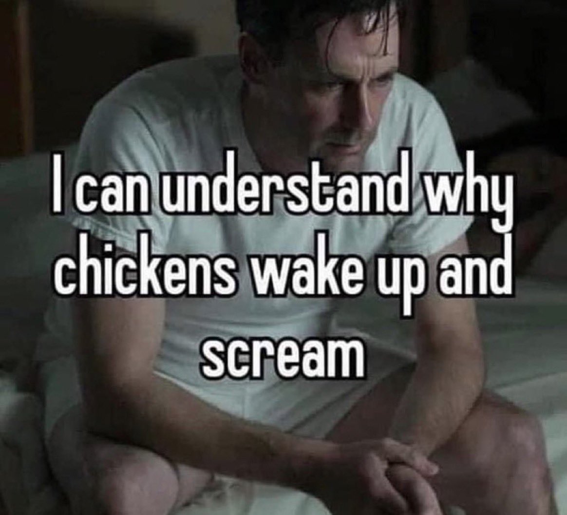 phase_fi's tweet image. Gm time to lose more money