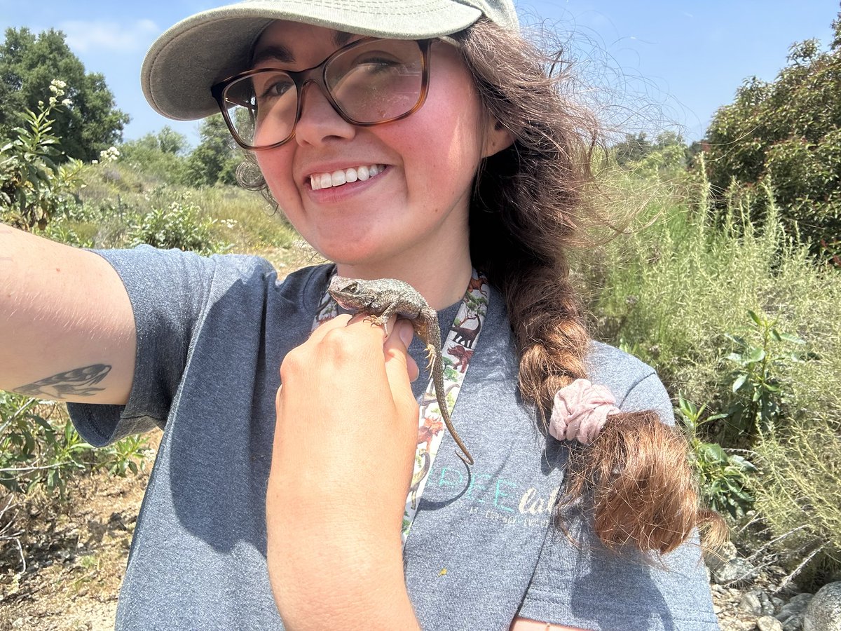 Felt good to be back out in the field doing #lizard things 🦎☀️ can’t wait to see if we find differences in population abundance between #urban and #natural sites 🌃⛰️ #herpetology #research #graduatestudent