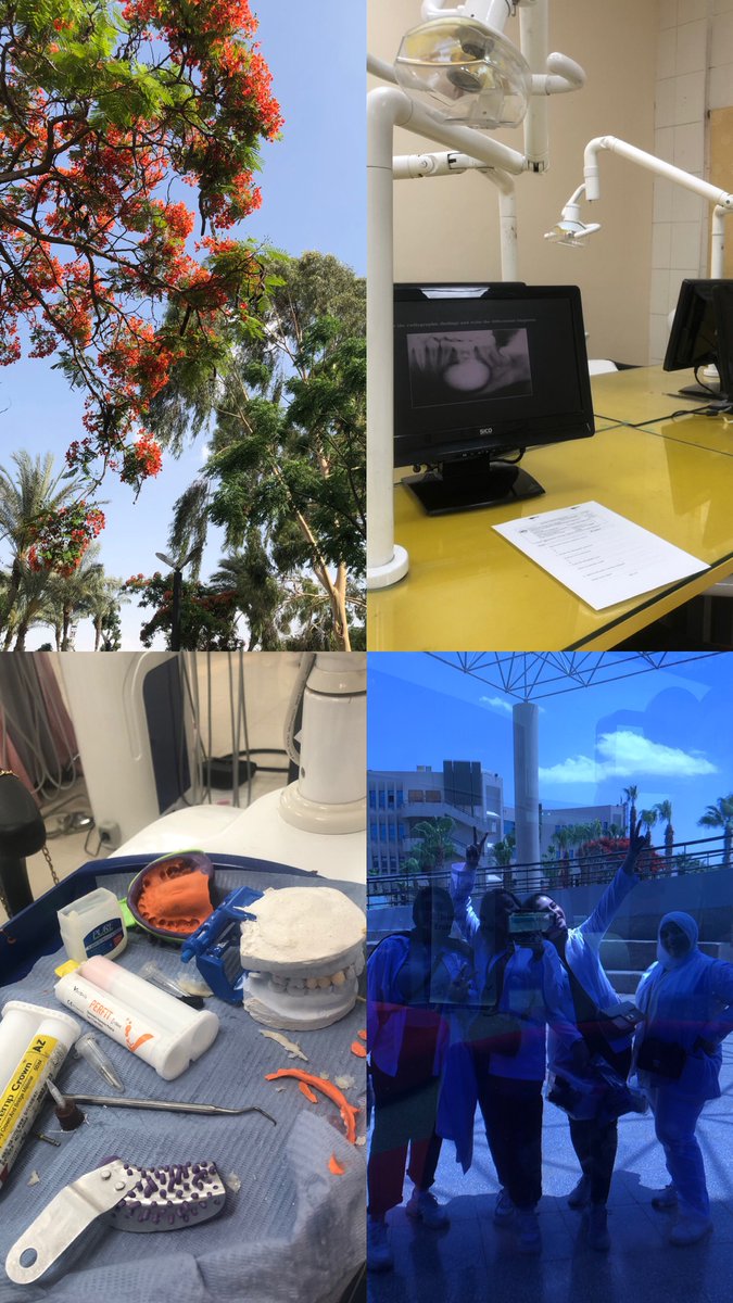 Diagnosis &amp; Fixed practical ✅