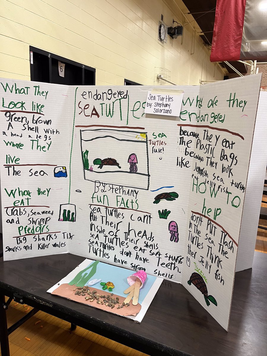 Dr. King Elementary tweet media