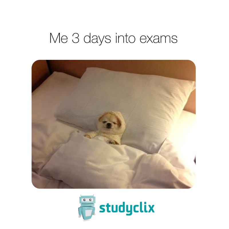 Whew 3 days in!

You've got some of the toughest exams out of the way, give yourself a pat on the back and a well-deserved rest 💙