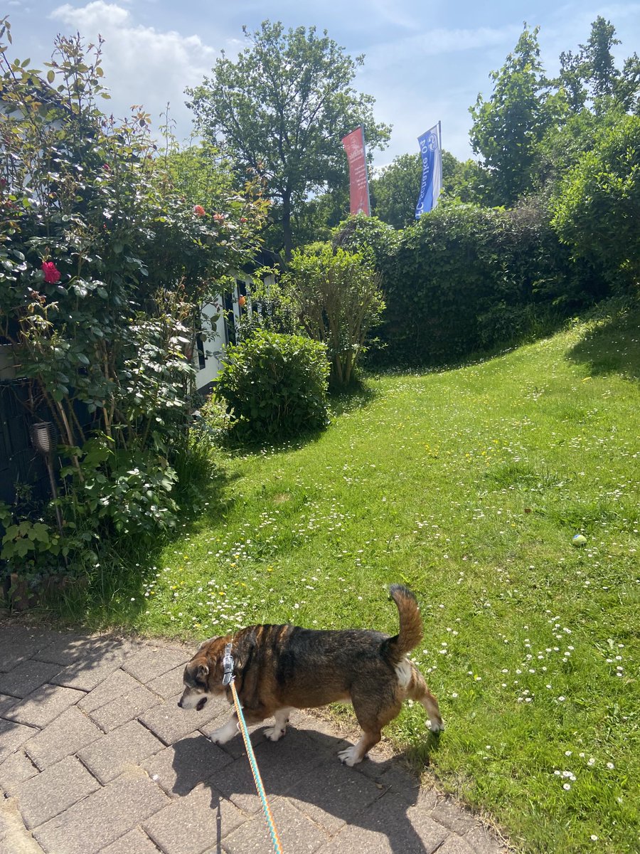 SpockiSenfhund's tweet photo. #twitterrudel #schoenes https://t.co/dkXOkCNWXv