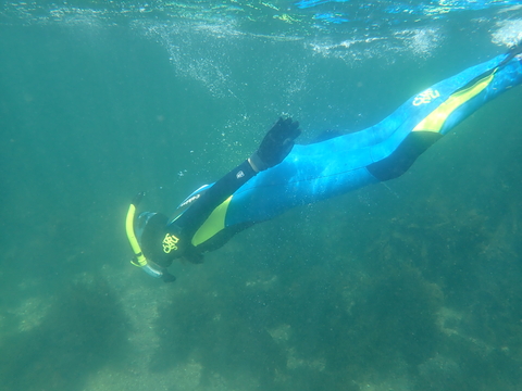 Who lives below the waves? At Wembury Marine Centre our Snorkel Safaris are perfect for explore the underwater world around our coasts, finding creatures like this lobster and starfish seen this morning. For more info and to book, follow the link below.
buff.ly/3MWKWBX