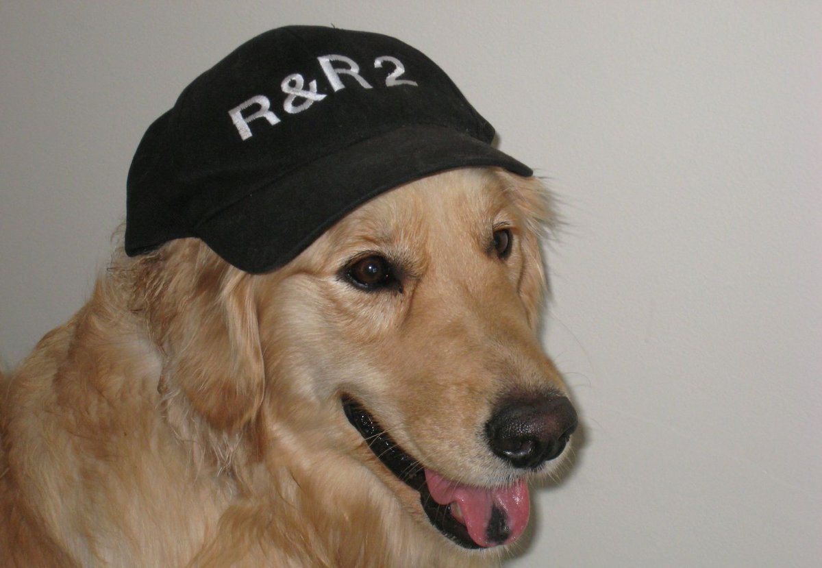 Recidivism of 110 male Reasoning &amp; Rehabilitation participants from juvenile institutions in Germany has been found to be 13.7% lower than for a matched comparison group 2 years after release. Weber &amp; Hosse (2023) Forens Psychiatr Psychol Kriminol, 3–12.