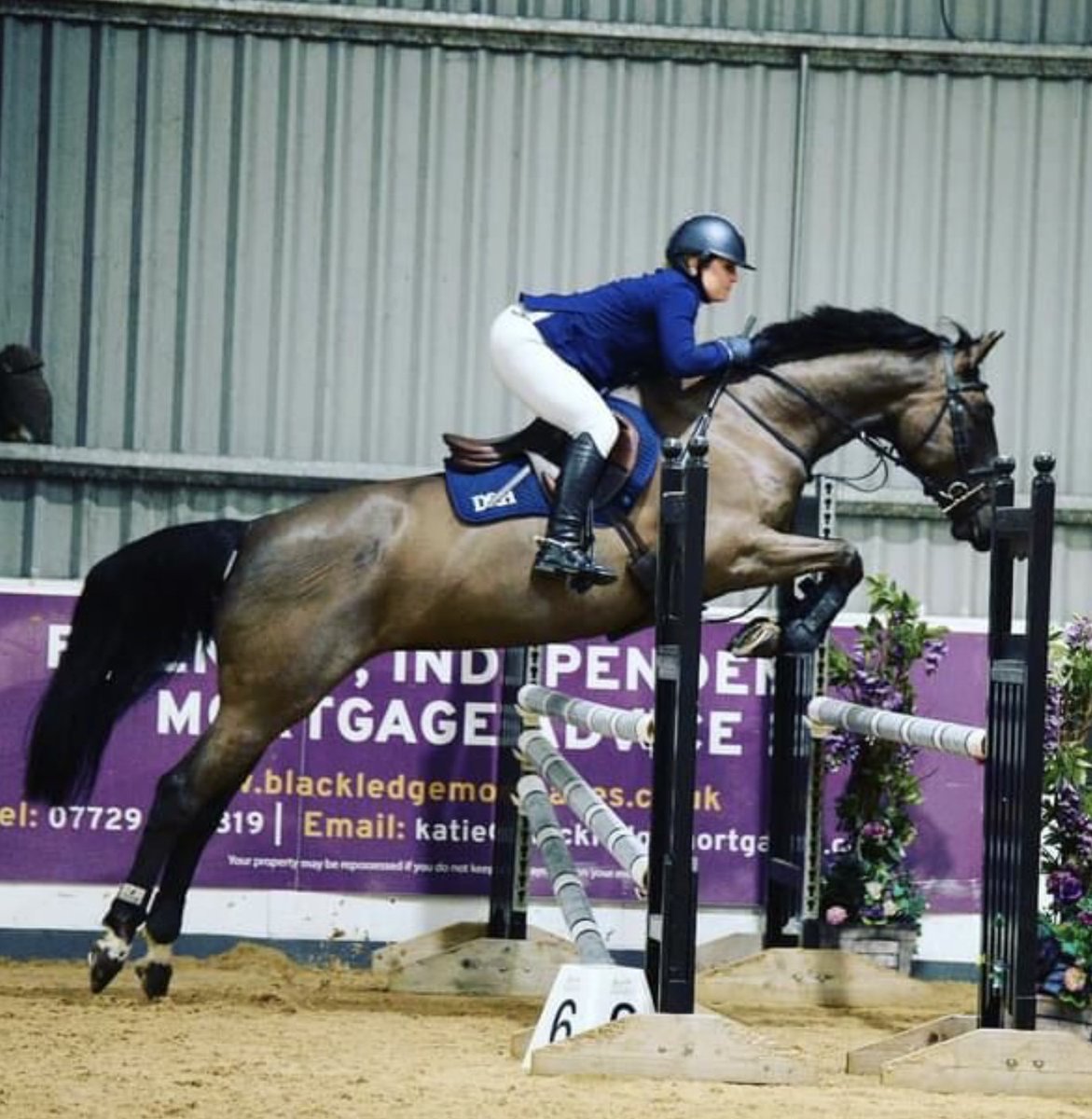 This gorgeous 16.1hh black Warmblood mare is for sale trib.al/GRpqWja Place your advert today and find your horse a great new home trib.al/ZLMtlox