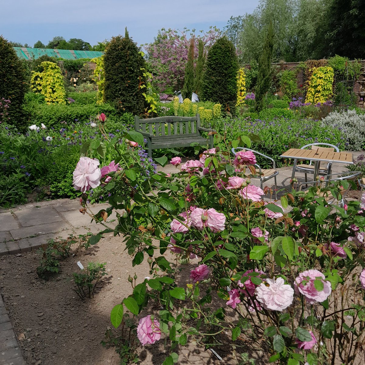 SkncareBOOtique's tweet image. A beautiful day for the Derwen College Fete and dog show, at Gobowen near to Oswestry. Come along and support a great cause.
#Derwen #dogs #bankholiday #garden #naturalskincare #oswestry #shropshire