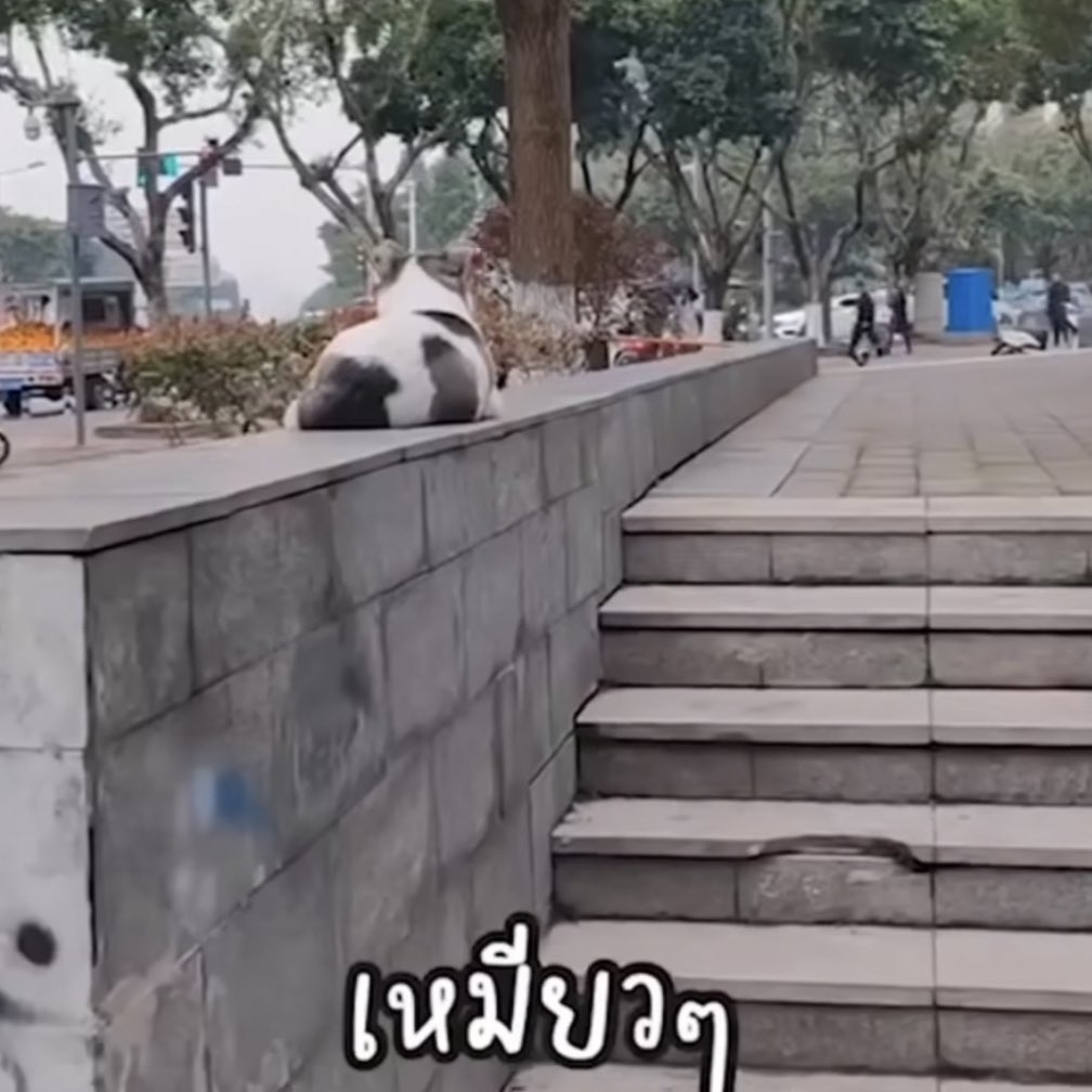 takemybear's tweet image. แล้วดูหน้าหมา 55555555555555555555555555555555555