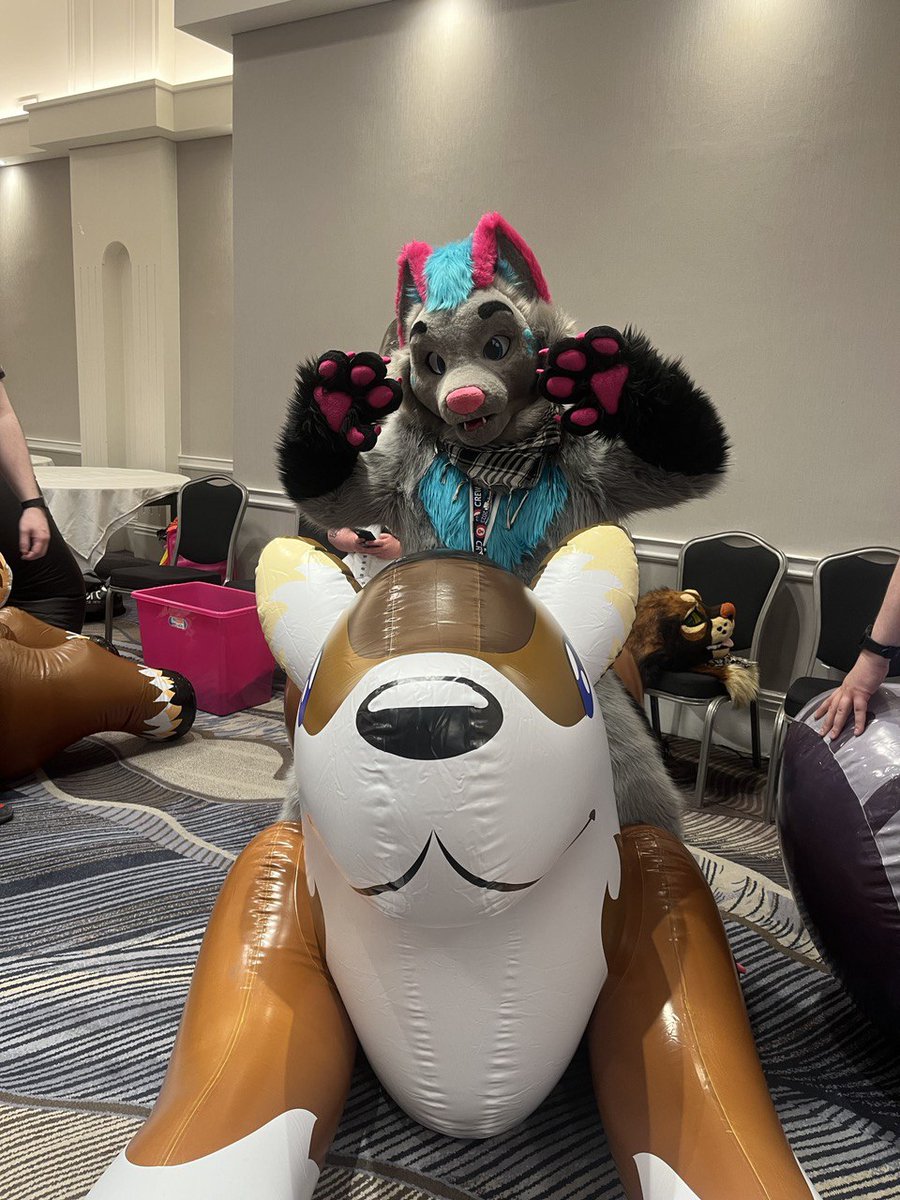 I had so much fun at my first inflatables meet! #CFz23 

📸: @alliexhusky