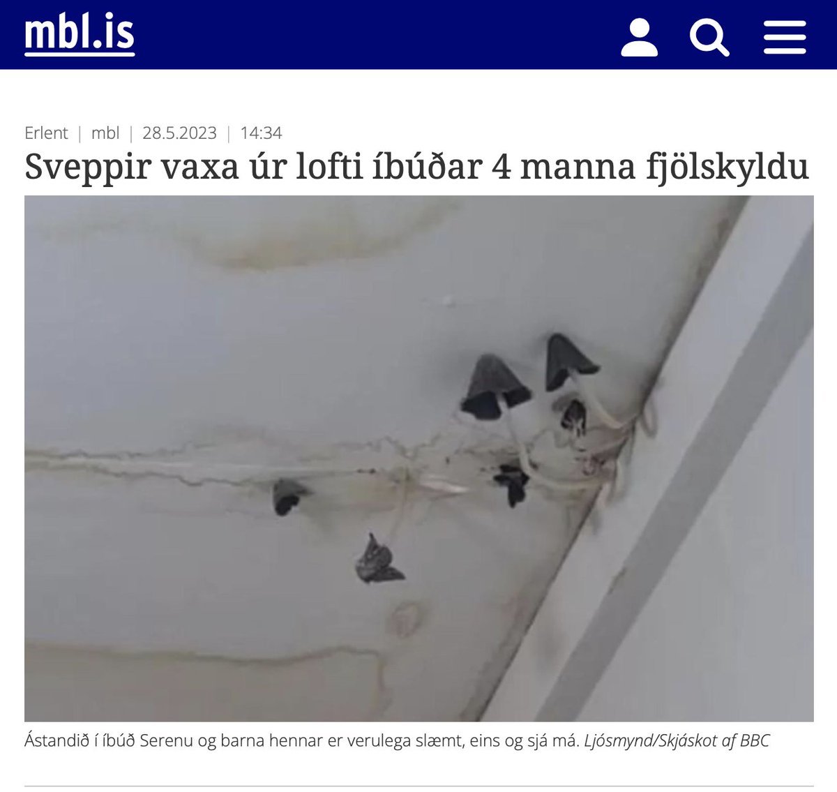 If life gives you sveppir, make sveppa-risotto 😋