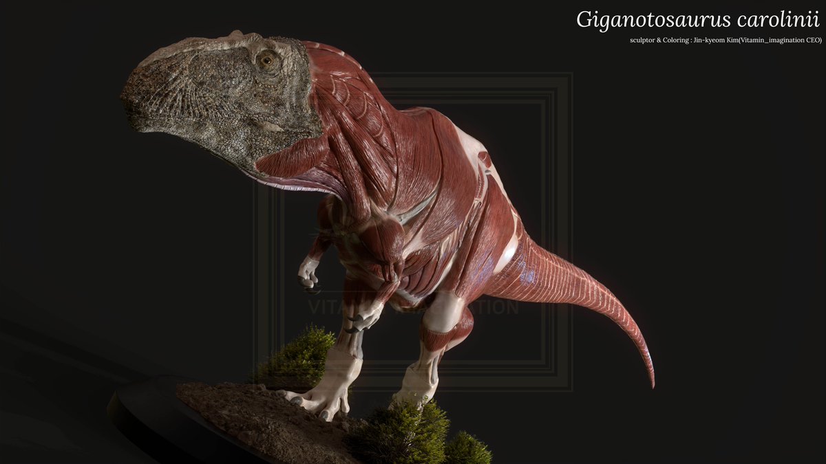 vitaimagination's tweet photo. Created a species of Giganotosaurus carolinii
I used Zbrush, Substance Painter, and Marmoset.
#Giganotosauruscarolinii #기가노토사우루스 #udims #zbrush https://t.co/XHLMF1kKLV