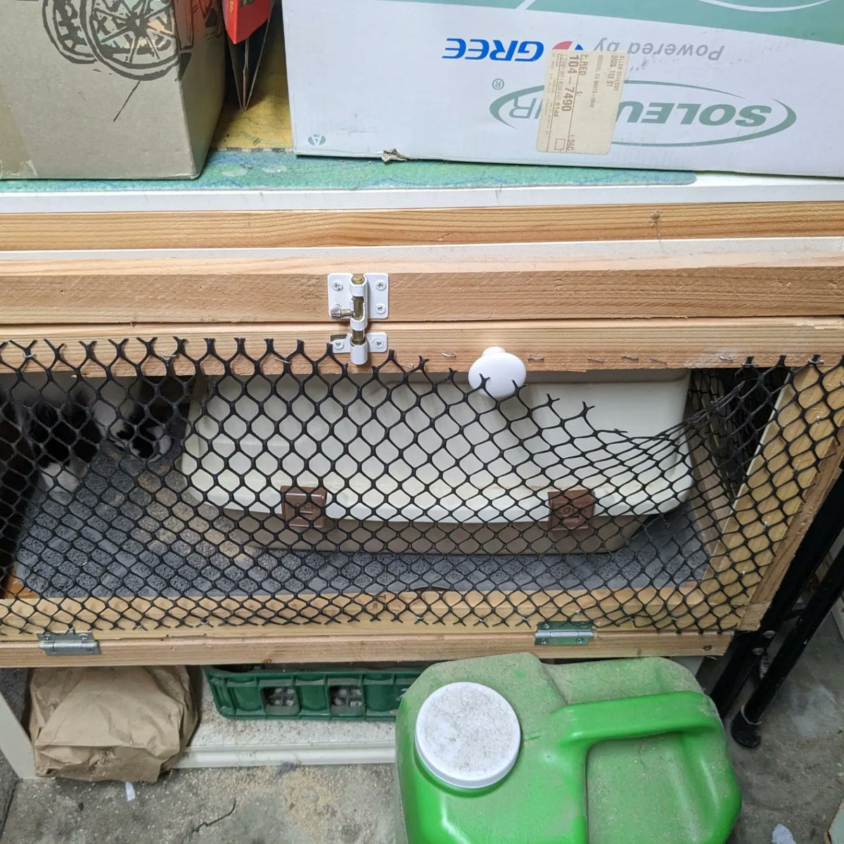 mor_trisha's tweet photo. Last night's adventure (1am 😱): Wanda learned how to push through the black plastic mesh. Two escape points: 1) The Nook, 2) Garage cat box. "Look at all those staples she pushed through," DH said. Me: 🤬
Today's project: reinforcement
#catio #DesignFlaws #PerimeterVulnerability https://t.co/twAugbgtNb