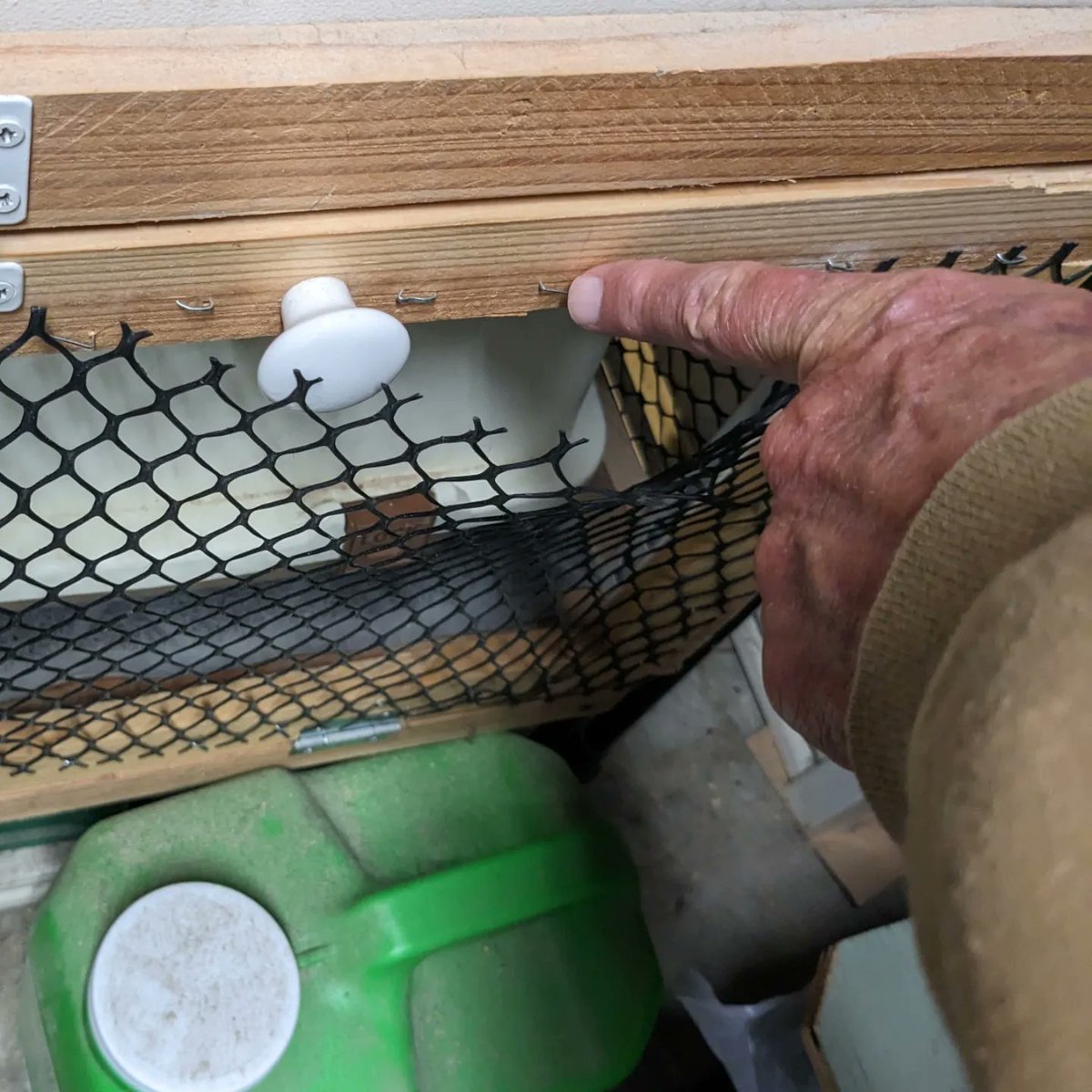 mor_trisha's tweet photo. Last night's adventure (1am 😱): Wanda learned how to push through the black plastic mesh. Two escape points: 1) The Nook, 2) Garage cat box. "Look at all those staples she pushed through," DH said. Me: 🤬
Today's project: reinforcement
#catio #DesignFlaws #PerimeterVulnerability https://t.co/twAugbgtNb