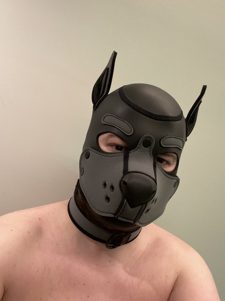 Puppy_Aroon's tweet photo. Hello world 😈
#dog #subdog #bttm #mask #belgique #belgium #gay #gaydog https://t.co/RGb3MUKWny