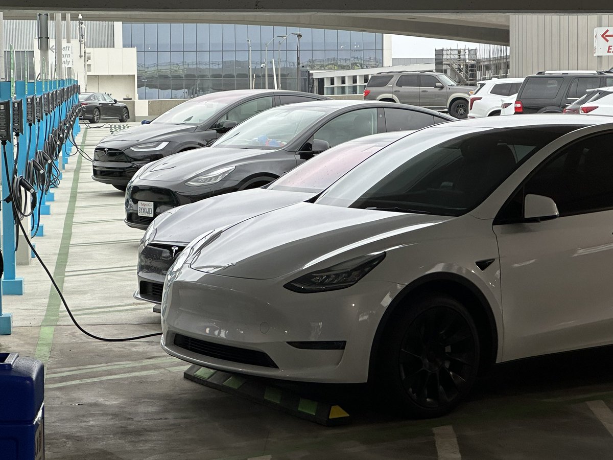 Teslas are becoming as ubiquitous as iPhones