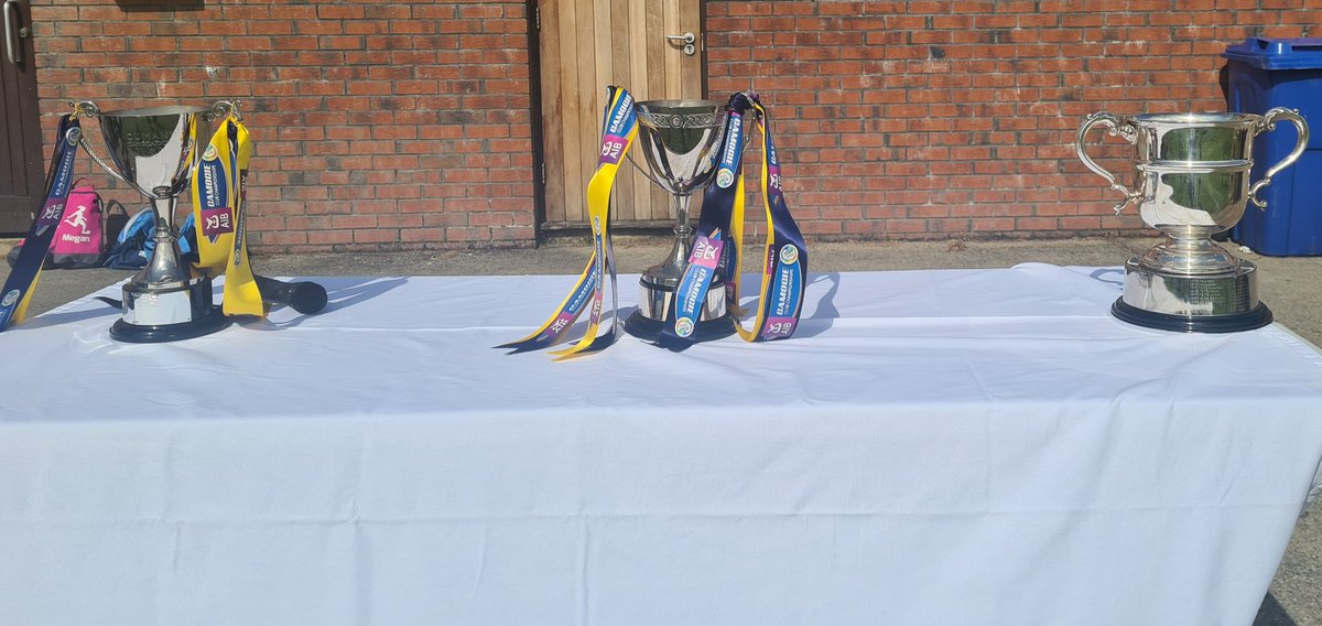 clonduffcamogs's tweet photo. Also delighted to have the 3 amigos on show this morning &amp; provided some great photo opportunities and gave these young girls something to aspire to when they are https://t.co/dK2NVoJZVL's fantastic and a privilege to be able to display the County, Ulster and All Ireland cups https://t.co/hmRTyRGnFk