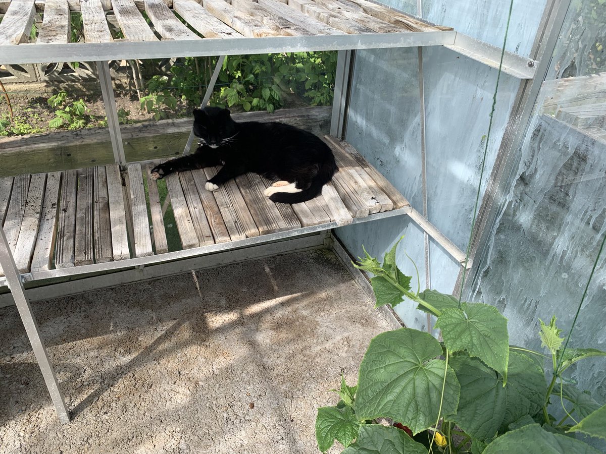 CherlyGsy's tweet image. No wind in here #notdaft