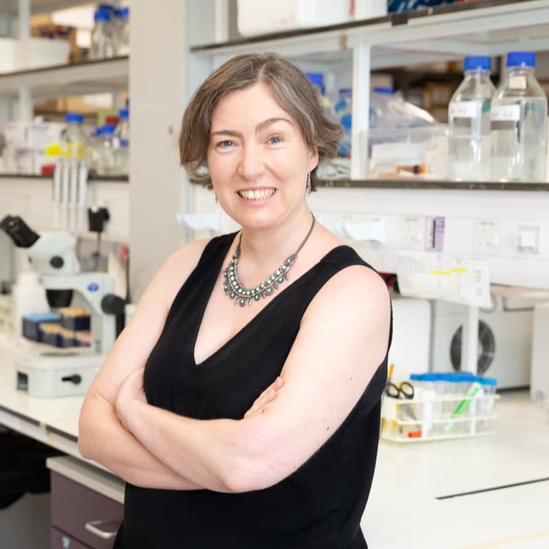 🥼 Dr. Emma Rawlins (@LabRawlins) and the team at @GurdonInstitute used #organoids to study the cellular mechanisms regulating human lung development.

👇 Learn all about RTK signaling in maintaining columnar shape of #lung tip progenitors.

@Dev_journal | bit.ly/3qhp6As