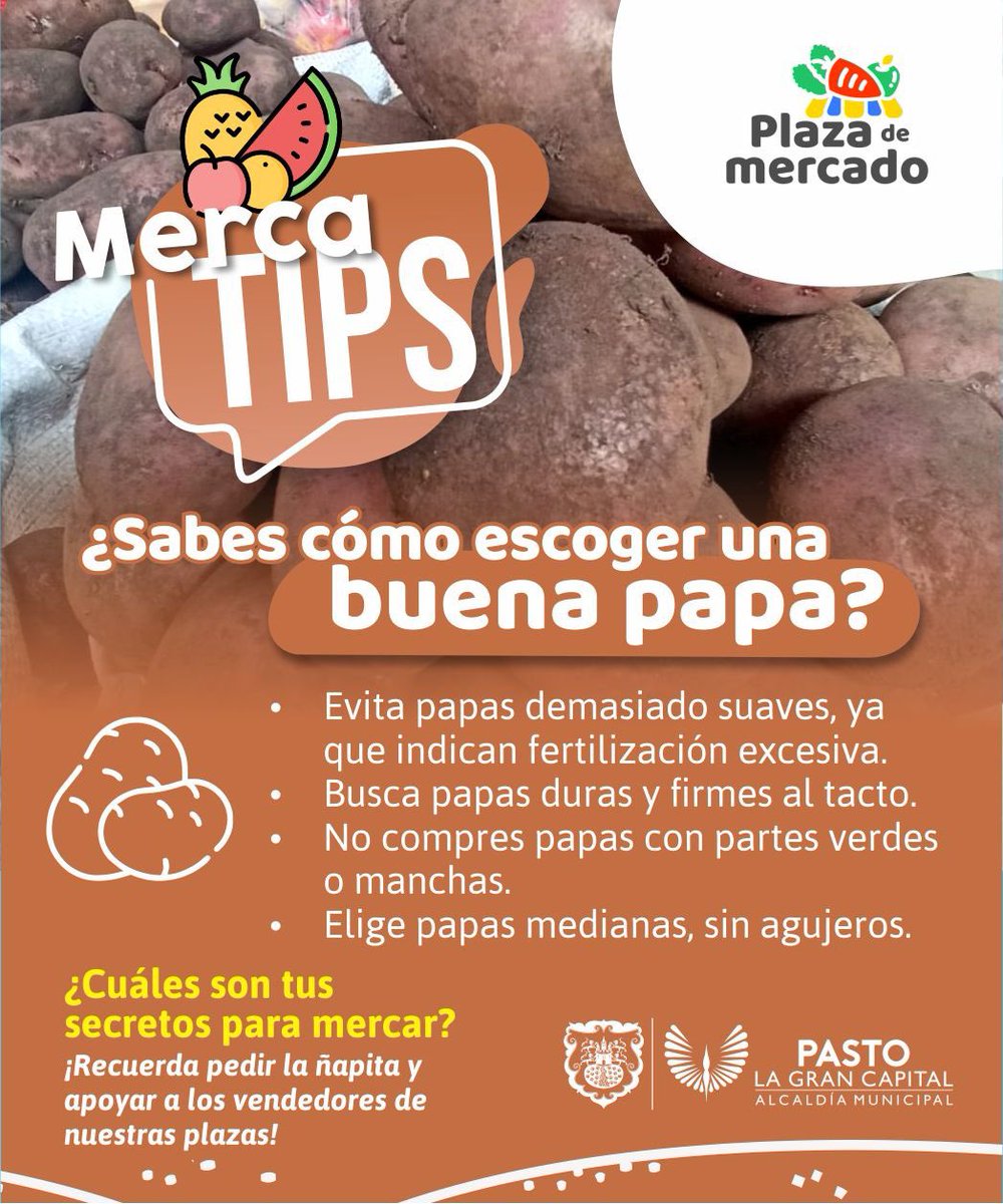 alcaldiapasto's tweet photo. 🥥¡Aprende con nuestros Mercatips!
Sigue estos tips para que lleves a casa los mejores productos de las plazas de mercado.
Pide la ñapita y apoya a nuestros vendedores. 🫶🏼
#Mercatips
@PlazasdeMercadoPasto https://t.co/eoH9ZIhdDh