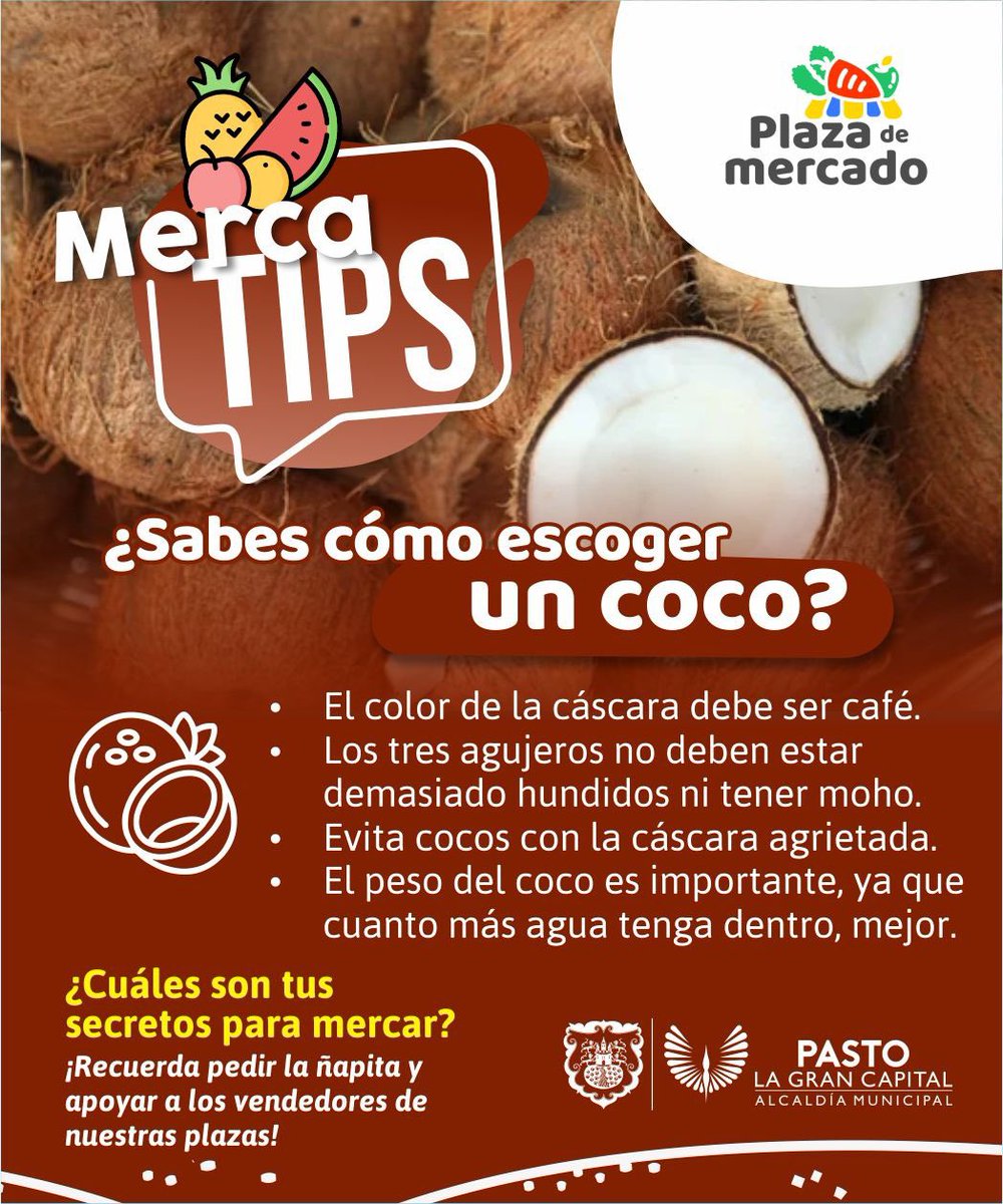 alcaldiapasto's tweet photo. 🥥¡Aprende con nuestros Mercatips!
Sigue estos tips para que lleves a casa los mejores productos de las plazas de mercado.
Pide la ñapita y apoya a nuestros vendedores. 🫶🏼
#Mercatips
@PlazasdeMercadoPasto https://t.co/eoH9ZIhdDh